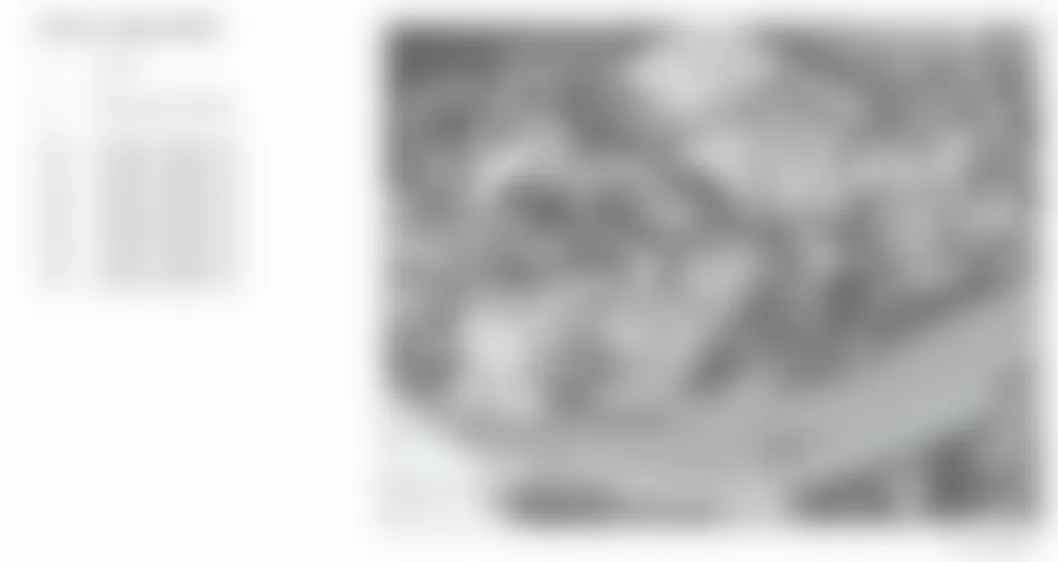 Mercedes-Benz S63 2008 - Component Locations -  Identifying Ignition Coils (273)