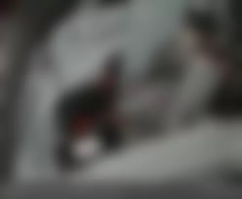 Mercedes-Benz S63 2008 - Component Locations -  Left Or Right Side Of Trunk Respectively