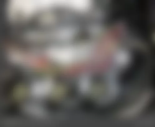 Mercedes-Benz C300 Sport 2009 - Component Locations - Left Of Engine