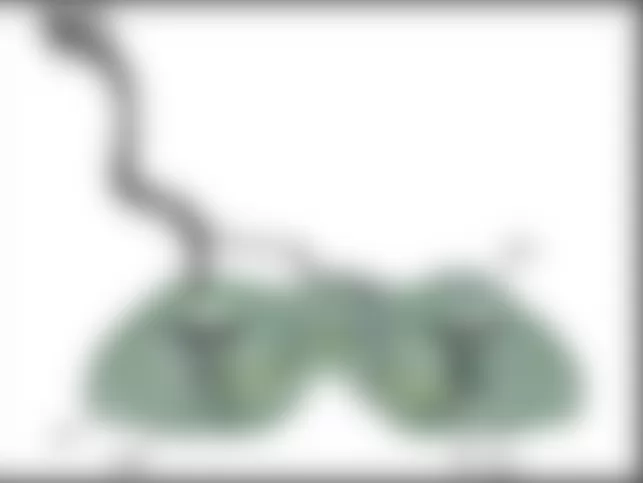 Mercedes-Benz C63 2009 - Component Locations -  Fuel Tank