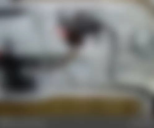 Mercedes-Benz E63 2009 - Component Locations -  Right Side Of Tailgate