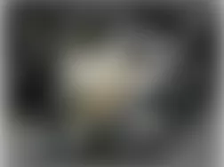 Mercedes-Benz G55 2009 - Component Locations - Left Rear Of Engine Compartment