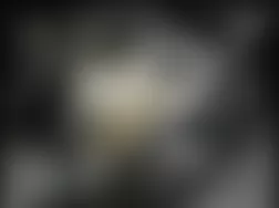 Mercedes-Benz G55 2009 - Component Locations - Left Rear Of Engine Compartment