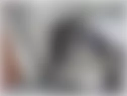 Mercedes-Benz G550 2009 - Component Locations - Above Left Headlight Assembly