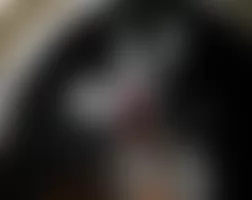 Mercedes-Benz GL450 2009 - Component Locations -  Left Front Wheelwell (Right Similar)