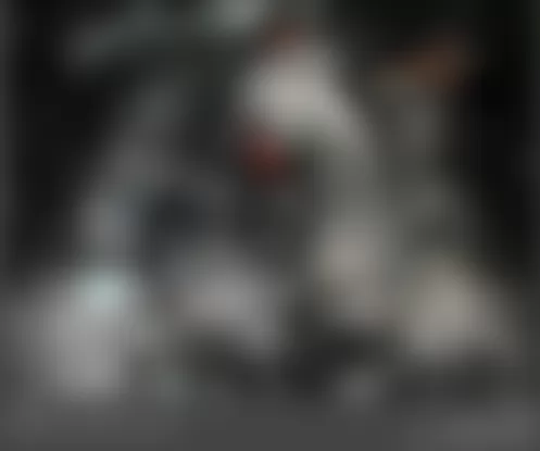 Mercedes-Benz GL450 2009 - Component Locations -  Top Center Of Engine