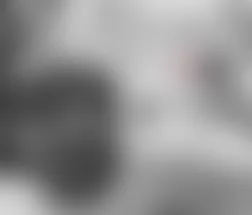 Mercedes-Benz GL550 2009 - Component Locations - Left Front Of Engine (V8)