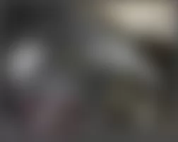 Mercedes-Benz ML320 2009 - Component Locations - Left Front Of Engine Compartment