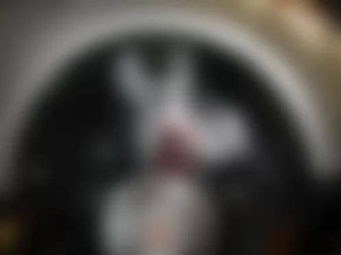 Mercedes-Benz ML350 2009 - Component Locations - Right Front Wheelwell