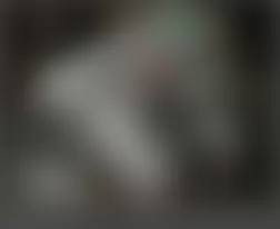 Mercedes-Benz ML350 2009 - Component Locations - Top Of Engine (M272)