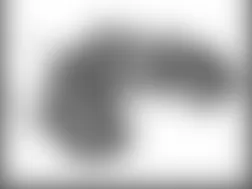 Mercedes-Benz ML350 2009 - Component Locations - Fuel Tank