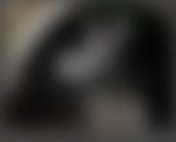 Mercedes-Benz ML350 2009 - Component Locations - Left Front Wheelwell