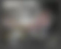 Mercedes-Benz ML350 2009 - Component Locations - Left Side Of Engine (M272 & M273)