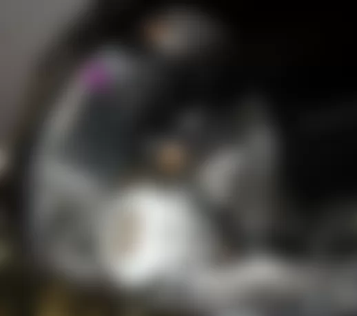 Mercedes-Benz R320 2009 - Component Locations -  Right Rear Wheelwell