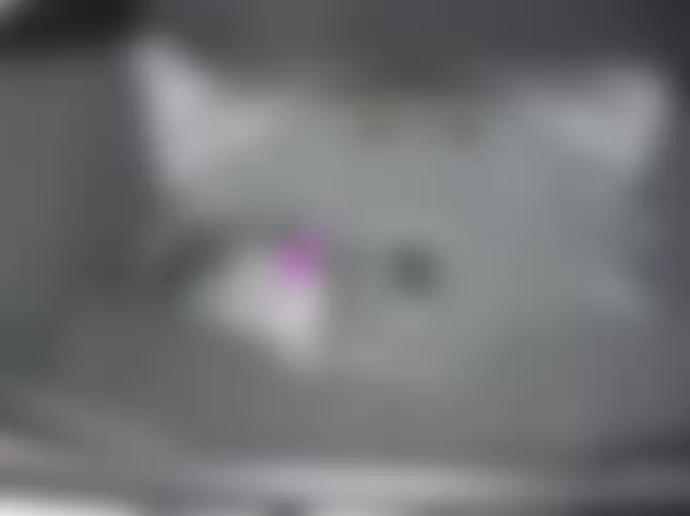 Mercedes-Benz R350 2009 - Component Locations -  Left Rear Of Cargo Area