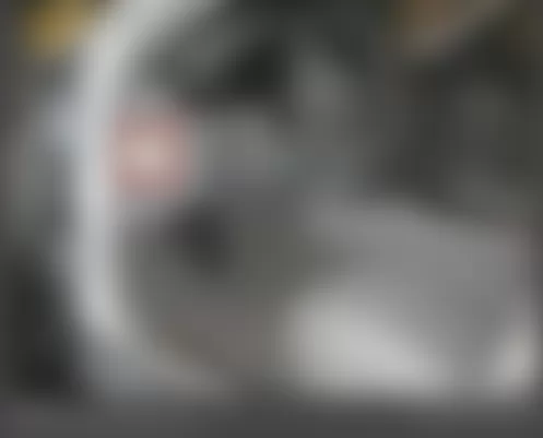 Mercedes-Benz S550 4Matic 2009 - Component Locations -  Under Left Side Dash Cover