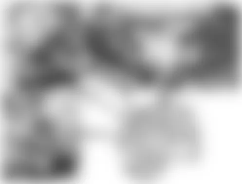 Mercedes-Benz S63 2009 - Component Locations -  Engine (273 W/Cylinder Shutoff)