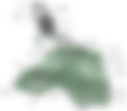 Mercedes-Benz S63 2009 - Component Locations -  Fuel Tank