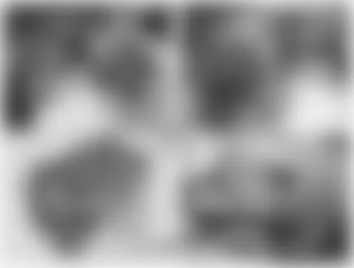 Mercedes-Benz S65 2009 - Component Locations -  Engine (275)