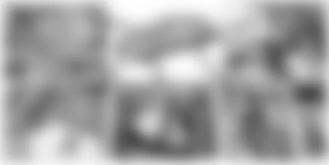 Mercedes-Benz SL550 2009 - Component Locations -  Vehicle Overview