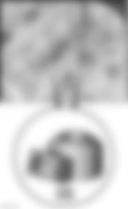 Mercedes-Benz SLK55 2009 - Component Locations - Top Of Engine