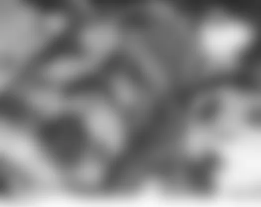 Mercedes-Benz SLK55 2009 - Component Locations - Left Side Of Engine