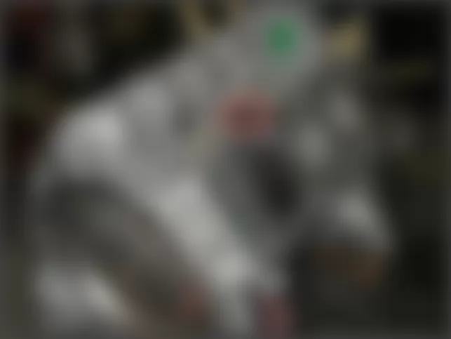 Mercedes-Benz C63 2010 - Component Locations -  Top Of Engine