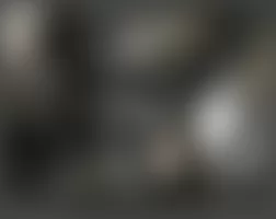 Mercedes-Benz CLS550 2010 - Component Locations -  Left Front Of Engine Compartment