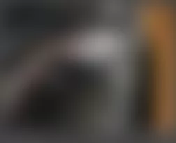 Mercedes-Benz CLS550 2010 - Component Locations -  Right Side Of Trunk Floor