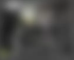 Mercedes-Benz CLS550 2010 - Component Locations -  Left Rear Of Engine Compartment