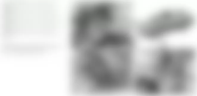 Mercedes-Benz CLS63 2010 - Component Locations -  Front & Underside Of Engine Compartment