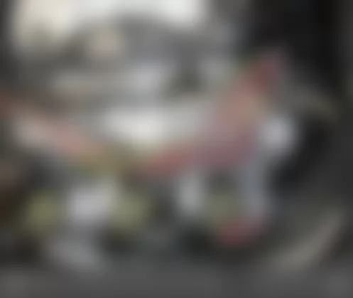 Mercedes-Benz E350 2010 - Component Locations -  Top Left Of Engine (3.5L)