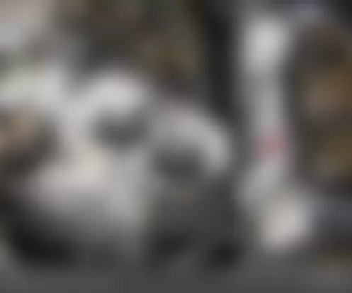 Mercedes-Benz E350 4Matic 2010 - Component Locations -  Left Front Of Engine Compartment