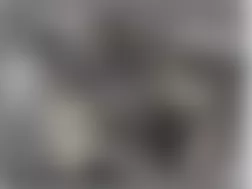 Mercedes-Benz G55 2010 - Component Locations -  Left Rear Of Engine Compartment