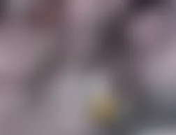 Mercedes-Benz G55 2010 - Component Locations -  Under Right Front Seat