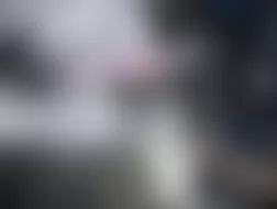 Mercedes-Benz G55 2010 - Component Locations -  Left Rear Of Engine Compartment