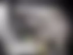 Mercedes-Benz G55 2010 - Component Locations -  Left Rear Of Cargo Area