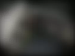 Mercedes-Benz G55 2010 - Component Locations -  Left Rear Of Cargo Area