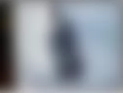 Mercedes-Benz G55 2010 - Component Locations -  Left Front Door (Right Similar)