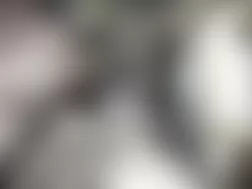 Mercedes-Benz G55 2010 - Component Locations -  Left Rear Of Engine Compartment