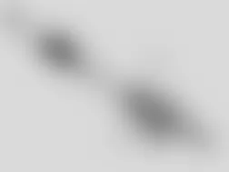 Mercedes-Benz GL350 2010 - Component Locations -  Steering Column