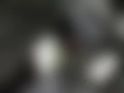 Mercedes-Benz GL450 2010 - Component Locations -  Left Rear Of Engine Compartment