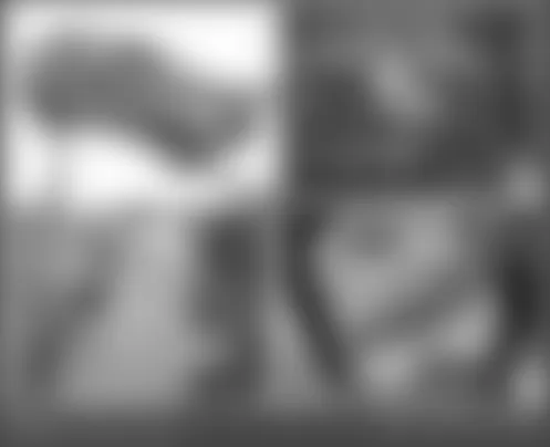 Mercedes-Benz GL450 2010 - Component Locations -  Right Rear Footwell