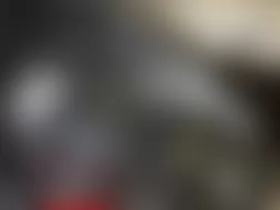 Mercedes-Benz GL450 2010 - Component Locations -  Left Front Of Engine Compartment