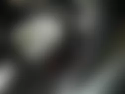 Mercedes-Benz GL450 2010 - Component Locations -  Left Rear Of Engine Compartment