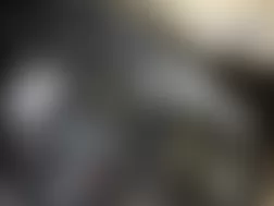 Mercedes-Benz GL450 2010 - Component Locations -  Left Front Of Engine Compartment