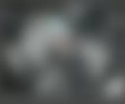 Mercedes-Benz ML350 2010 - Component Locations -  Right Front Of Engine (3.0L)