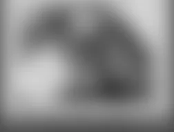 Mercedes-Benz ML350 4Matic 2010 - Component Locations -  Right Rear Of Engine Compartment