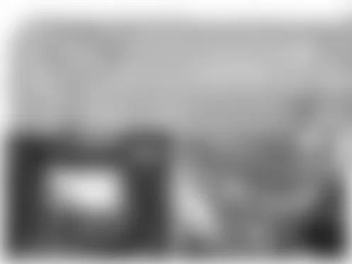 Mercedes-Benz ML63 2010 - Component Locations -  Front Underbody