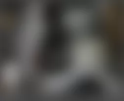 Mercedes-Benz ML63 2010 - Component Locations -  Left Side Of Cargo Area